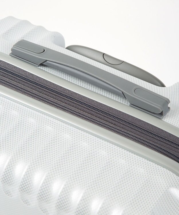 ACE BAGS & LUGGAGE ace. パリセイドZd Lサイズ 88～103L 06817 エース ホワイトカーボン