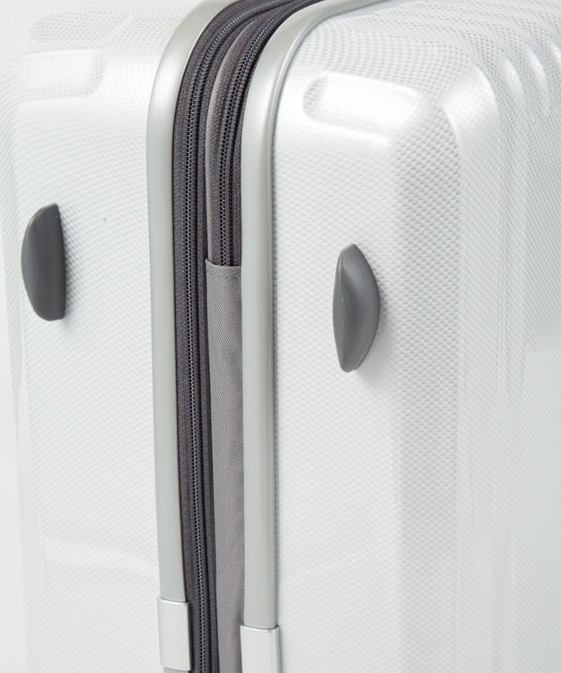 ACE BAGS & LUGGAGE ace. パリセイドZd Lサイズ 88～103L 06817 エース ホワイトカーボン