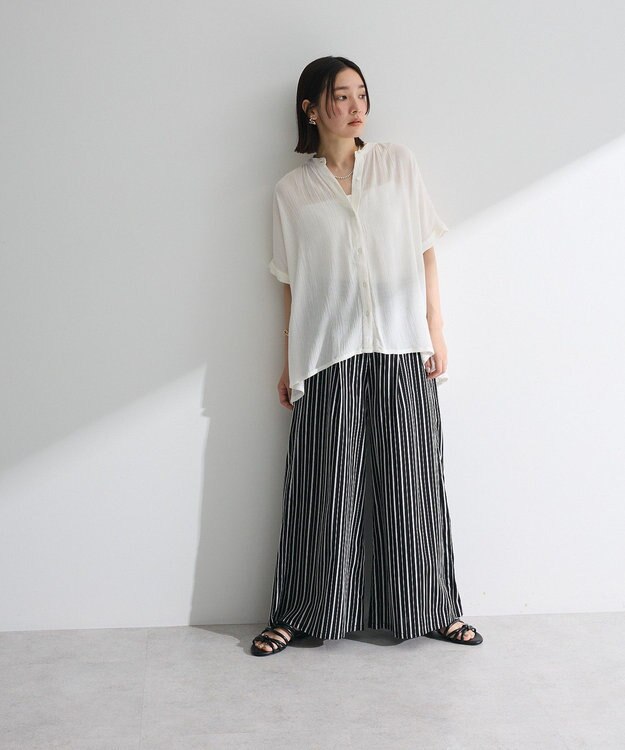 Green Parks Ｉ　レーヨンクレープブラウス Black