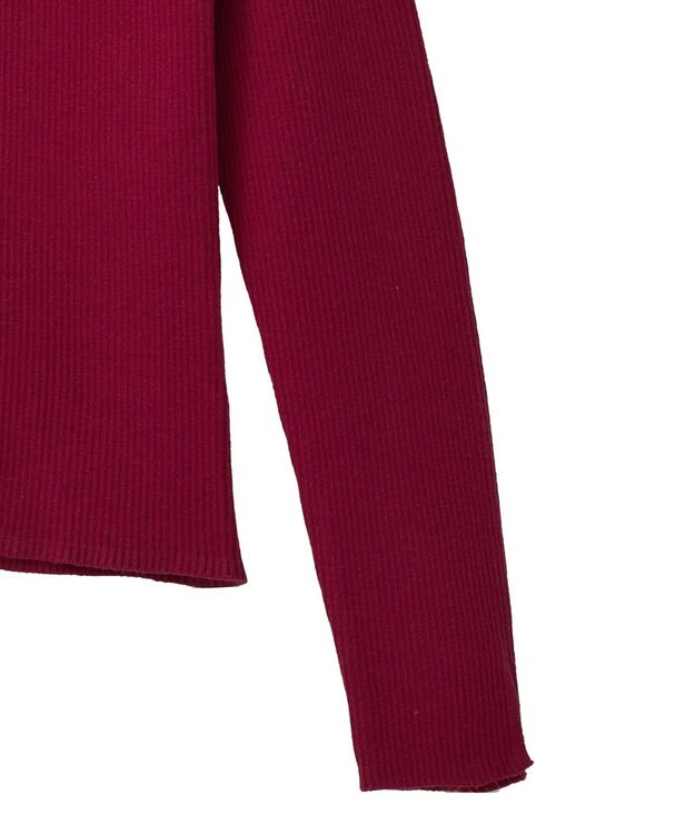 earth music&ecology 【イージーケア】【洗濯機洗い可】レンチング(TM)エコヴェロ(TM)(リブタートル) Red