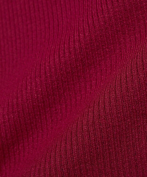 earth music&ecology 【イージーケア】【洗濯機洗い可】レンチング(TM)エコヴェロ(TM)(リブタートル) Red