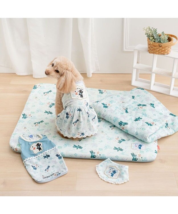 PET PARADISE リサとガスパール もちっと クール マット Ｍ 《海草柄》 ライトブルー