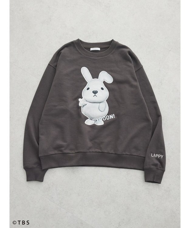 Green Parks ＬＡＰＰＹ／フォトプリントスウェット Charcoal Gray