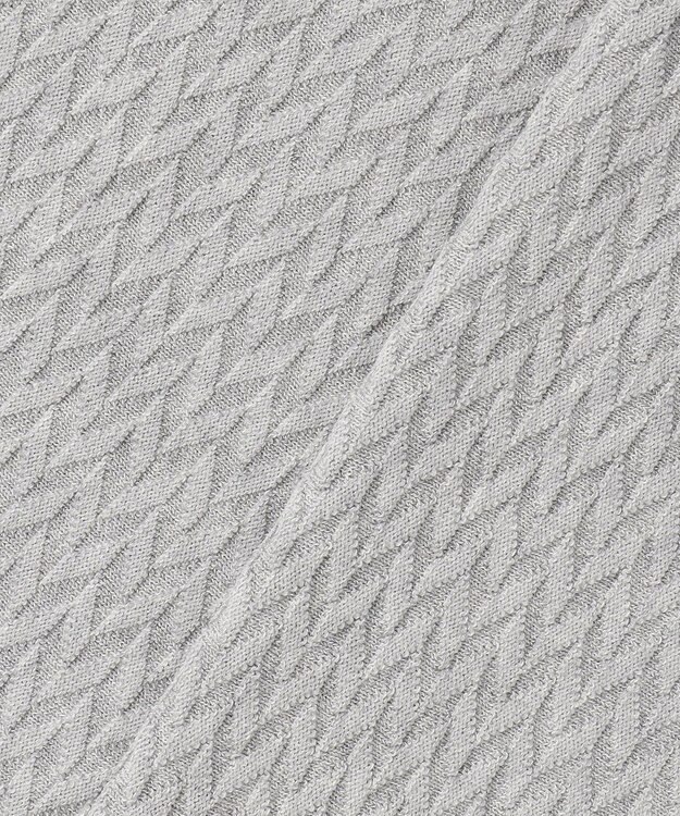 JOSEPH ABBOUD 【サステイナブル・オーガニックコットン使用】オーガニッククール ニット Tシャツ ライトグレー系