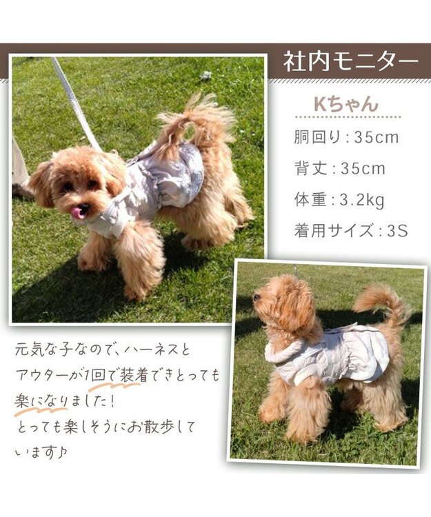 PET PARADISE ペットパラダイス 苺刺繍 アウターハーネス 小型犬 オフホワイト