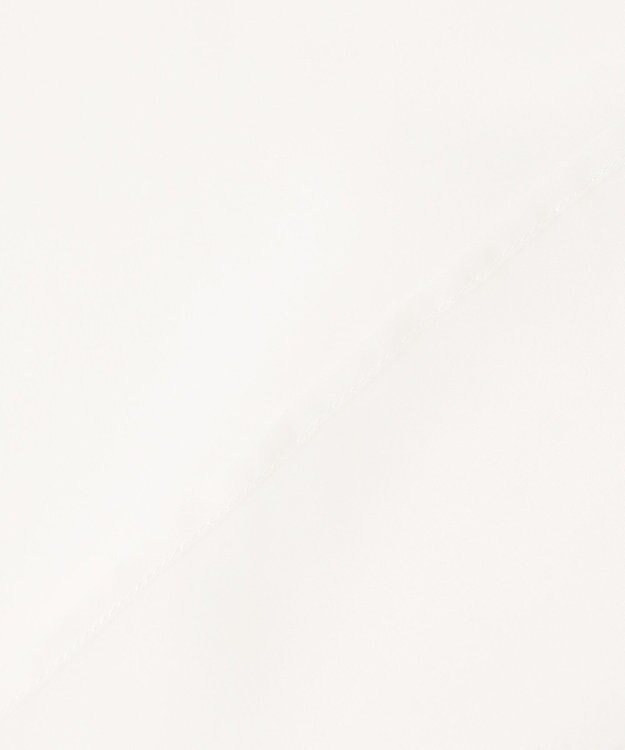 Feroux 【洗える】ベーシックシアー シャツ ホワイト系