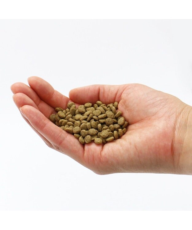 PET PARADISE ペットパラダイス  国産 ドッグフード ビオキッチン 3kg -