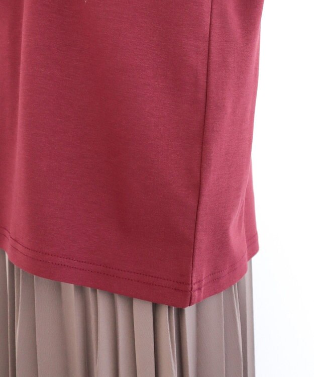 Green Parks ・ｓｗｉｎｇ　ｂｙ　シルケットオーバーサイズＴＥＥ Bordeaux