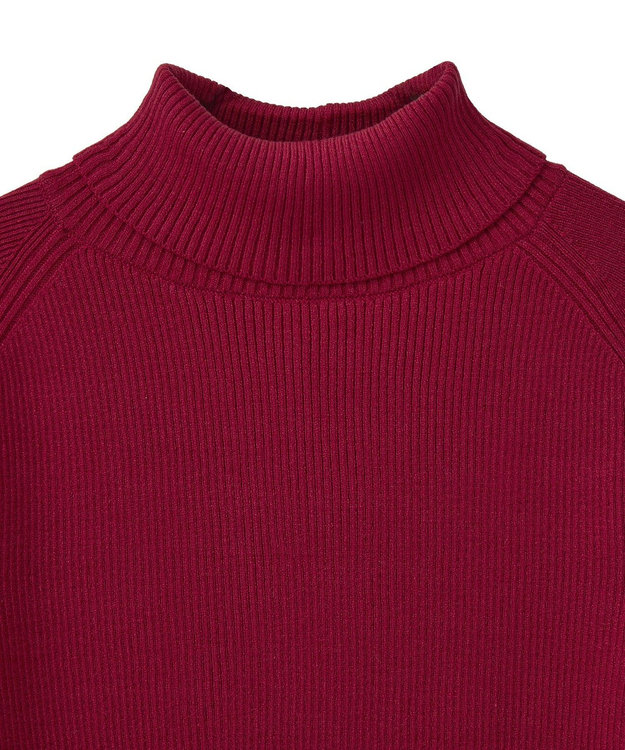 earth music&ecology 【イージーケア】【洗濯機洗い可】レンチング(TM)エコヴェロ(TM)(リブタートル) Red