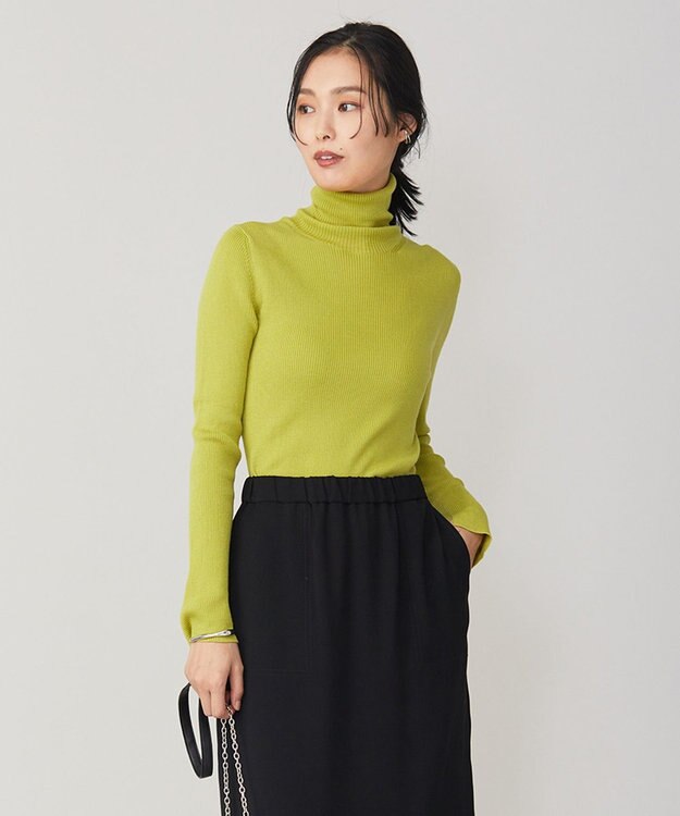 ICB 【洗える】エクストラファインメリノリブ タートルネックニット ペアー系