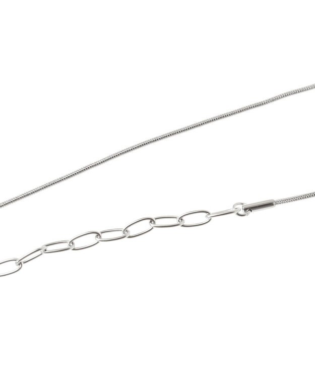 Green Parks ｅｖｅｒｙｗａｌｋ．ステンレスマルチウェイネックレス Silver