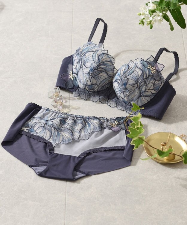 Wing Wing Lesiage　【2750シリーズ】ブラジャー　脇すっきり　ウイング／ワコール　PB2750 グレー