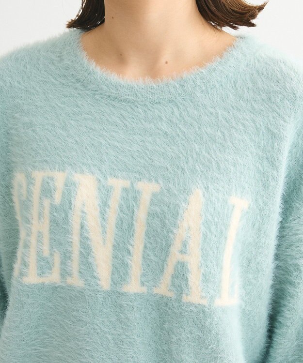 Green Parks シャギーロゴニットプルオーバー Mint