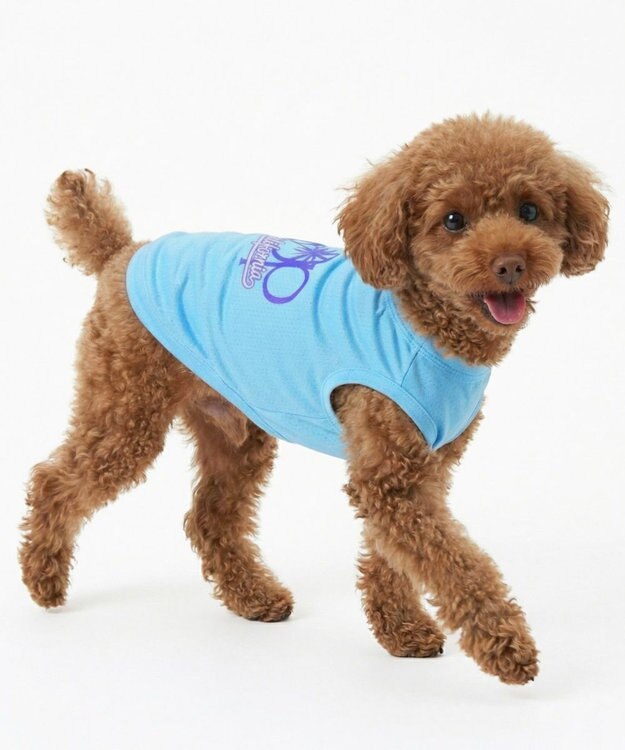 OP／FILA 【Ocean Pacific】グラデーションドッグウェア ペットウェア ミント