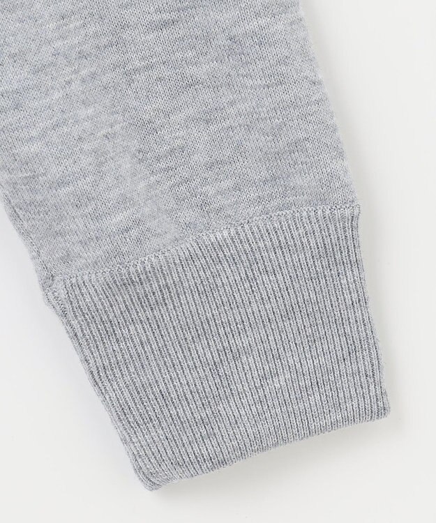 PW CIRCULUS 【MEN】【洗える】ロゴ ラグランスリーブ クルーネック ニット ライトグレー系