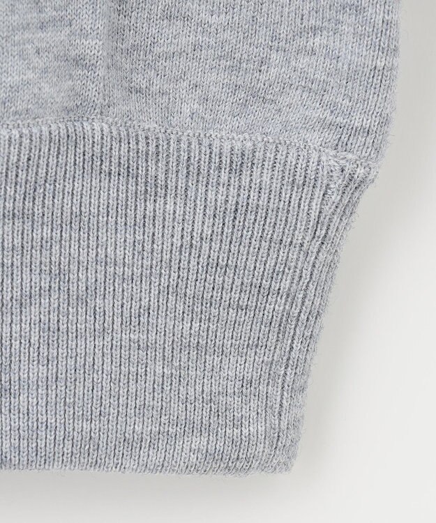 PW CIRCULUS 【MEN】【洗える】ロゴ ラグランスリーブ クルーネック ニット ライトグレー系