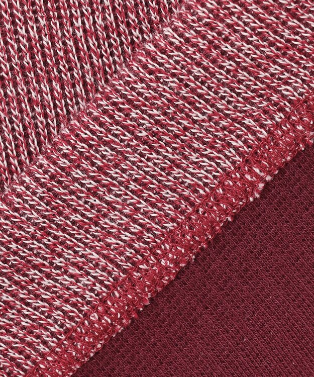 JOSEPH ABBOUD 【WEB/一部店舗限定】人気 杢糸ジャージ ハーフジップカットソー レッド系