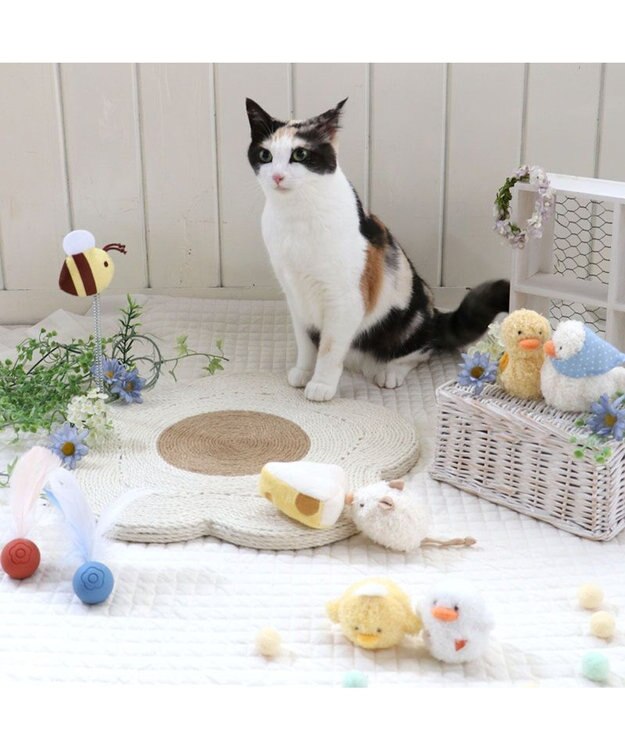 PET PARADISE ペットパラダイス 猫 爪とぎ プレート 花《白》 白