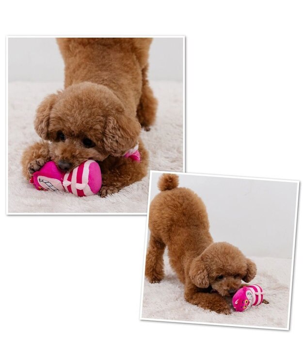 PET PARADISE ディズニー チェシャ猫 ロープトイ チェシャ猫