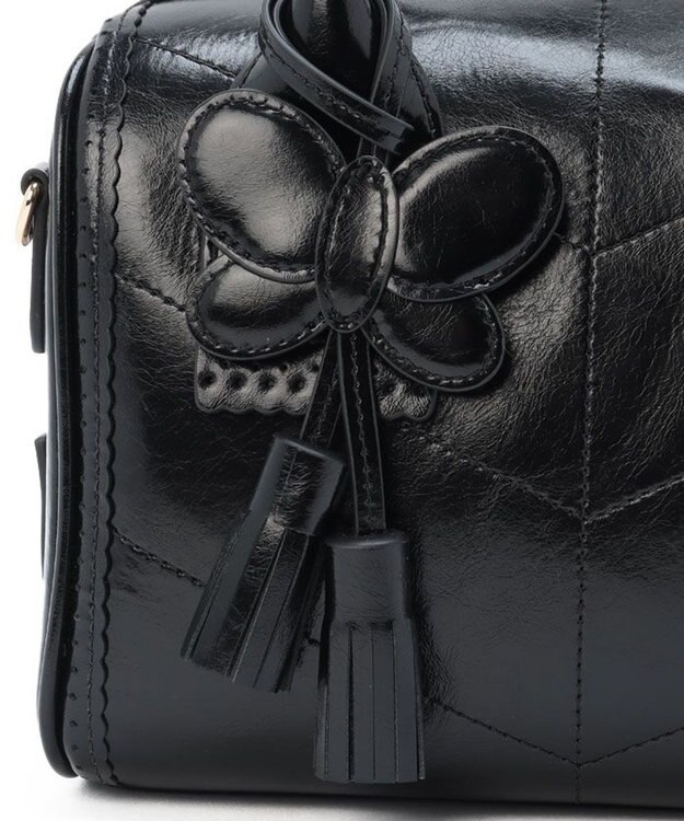 ANNA SUI ポワロ 2wayハンドバッグ クロ