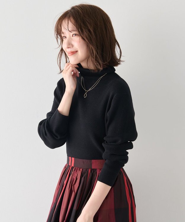 ANY 【洗濯機可】ウォームニットリブタートルネック ブラック