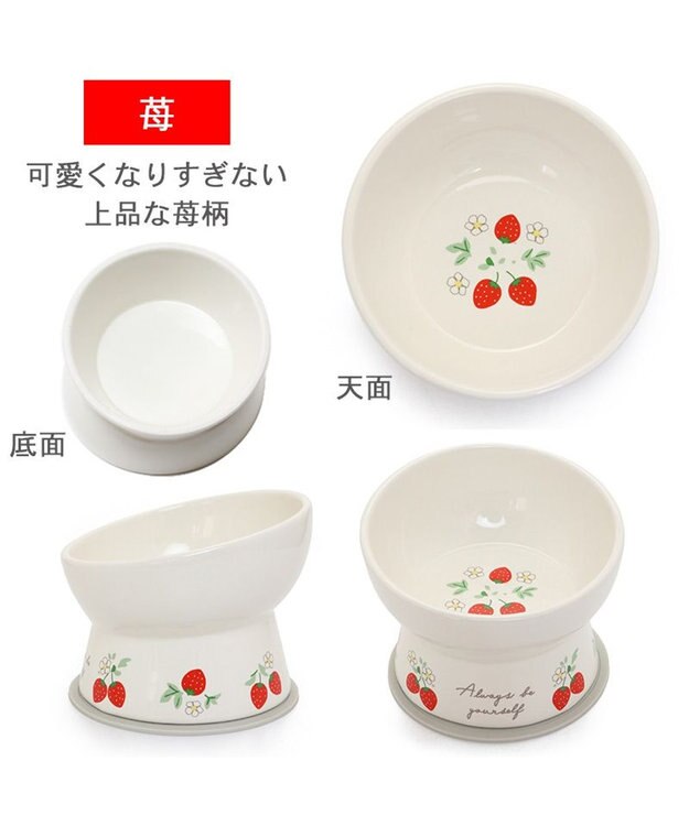 PET PARADISE 高さのある フードボウル《いちご柄 / くま柄》  陶器 いちご