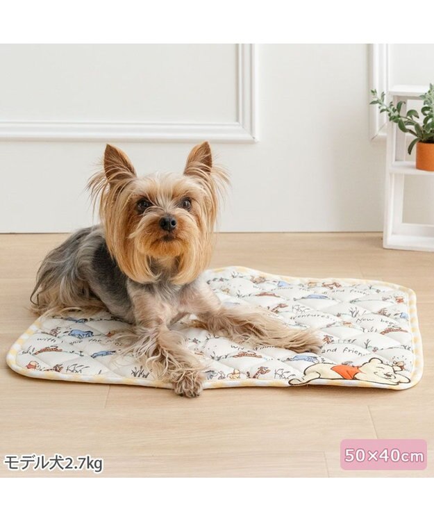 PET PARADISE ディズニー くまのプーさん クールマット 《のんびり柄》S イエロー