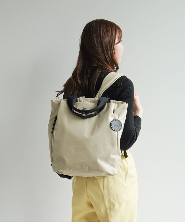 ACE BAGS & LUGGAGE Kanana project COLLECTION DYL サリール シャンブレー リュックサック A4サイズ 35913 カナナプロジェクト コレクション グレージュ