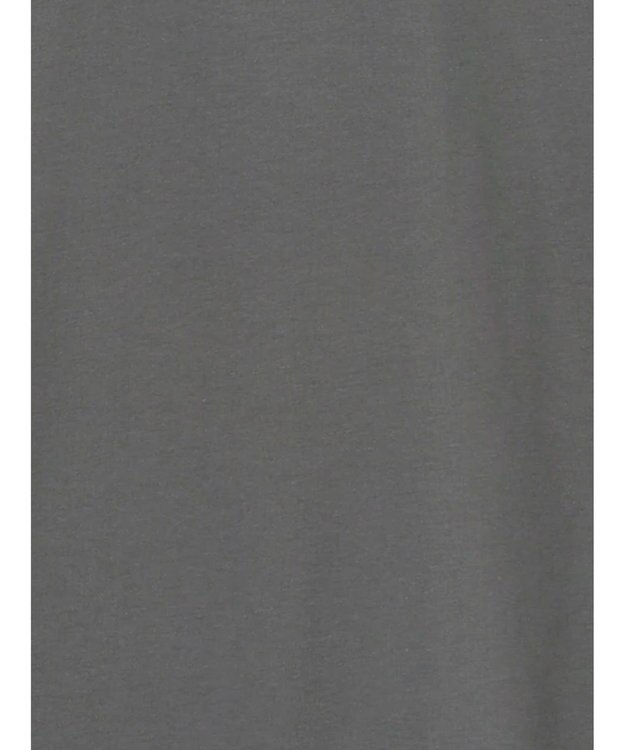 Te chichi 【泉 里香さん着用・Oggi.jp10/23掲載】シルケットロングスリーブTシャツ チャコールグレー