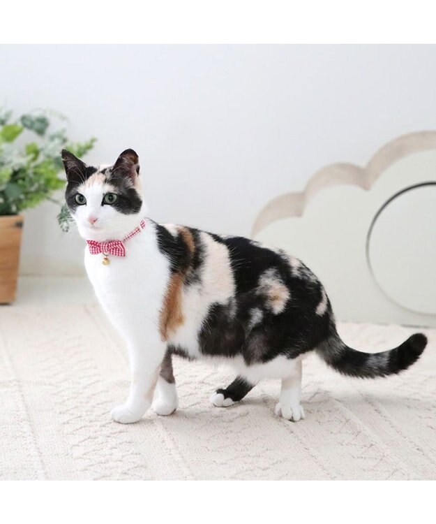 PET PARADISE ペットパラダイス 猫 首輪 ギンガムチェック 《レッド》 小サイズ/中サイズ レッド