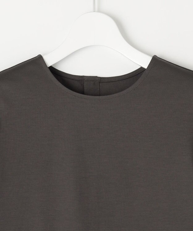 自由区 【洗える・XSサイズあり】シアーコンビパフスリーブ カットソー ダークブラウン系