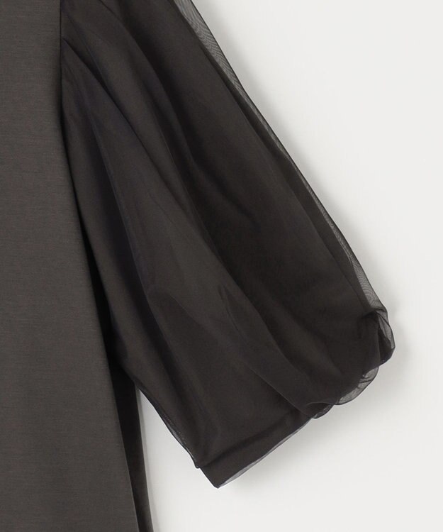 自由区 【洗える・XSサイズあり】シアーコンビパフスリーブ カットソー ダークブラウン系