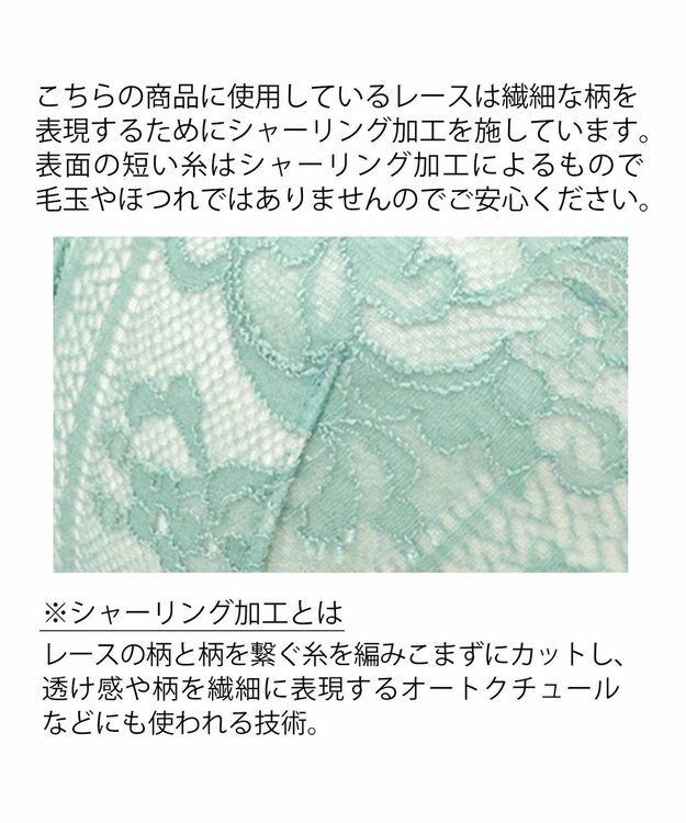 BRADELIS New York 【BRADELIS New York / 育乳ブラ・STEP1 集める】 ジャスミンステップ1ブラ22A1  しっかりバストを集めてナチュラルなシルエットを作る補整ブラ ミント