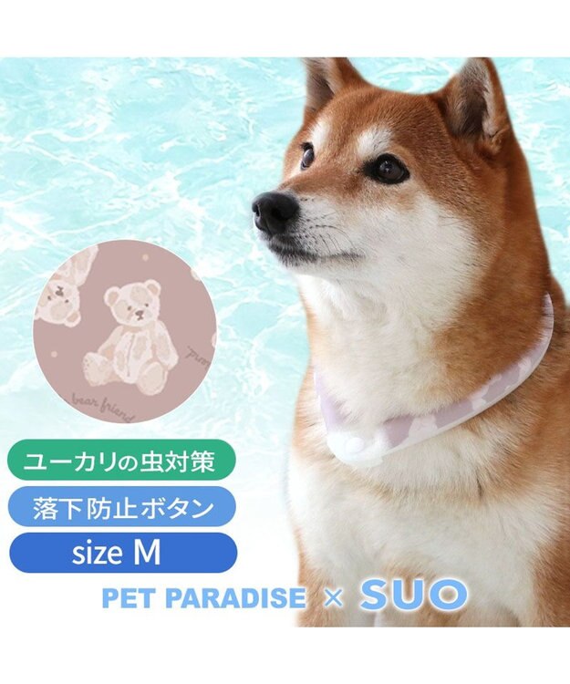PET PARADISE ペットパラダイス 28℃クールリング  《くま》 Ｍ 大型犬 くま柄
