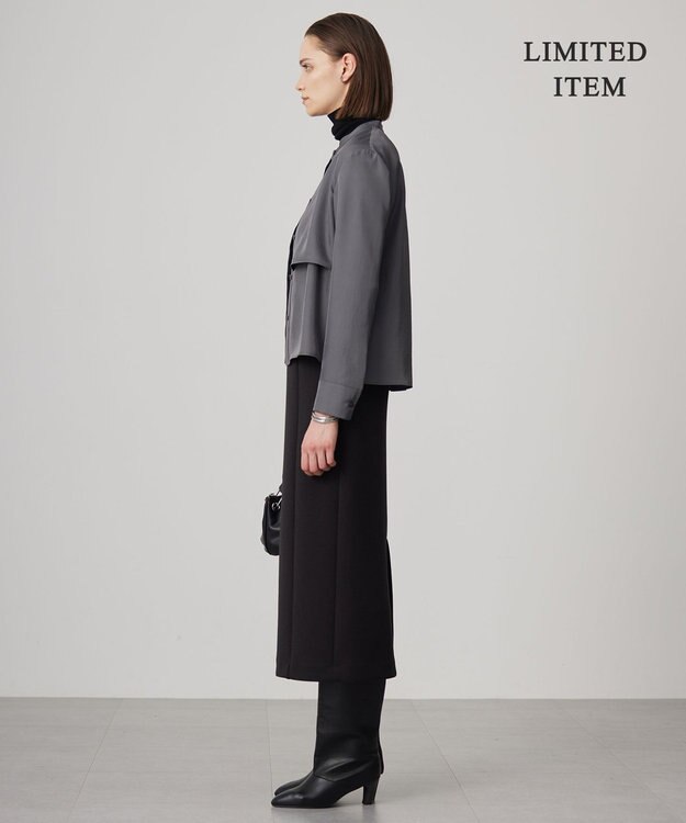 ICB L 【WEB限定・洗える】シルキーツイル  クロップドシャツ グレー系