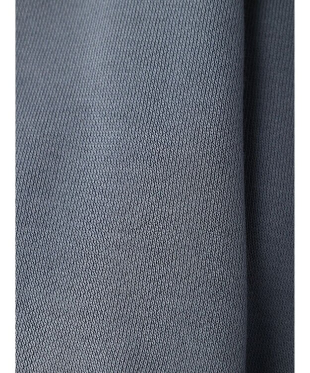 Green Parks ムジークタイガー／裏起毛刺しゅうフーディー Blue Gray