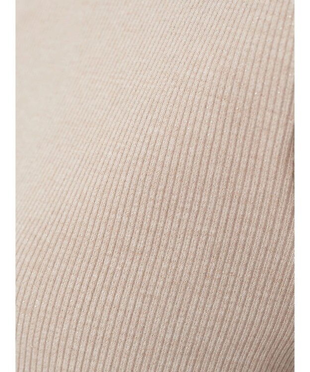 earth music&ecology ラメテレコハイネックプルオーバー Beige