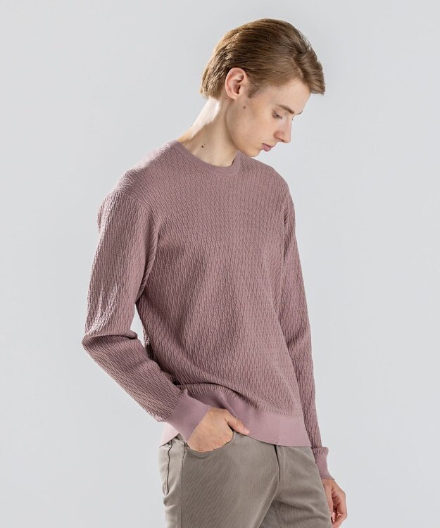 JOSEPH HOMME 【新柄】 ヴィスコースリンクス　クルーネックニット ピンク系