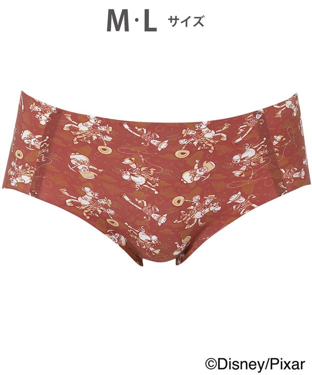 WACOAL ショーツ [GOCOCi][ワコール] CGG537とペア Disneyコレクション まるでつけていないようなはきごこち ゴコチ レディース PGG137 /ワコール ブラウン