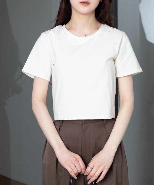 WEGO 【7色/SMLサイズ展開】コンパクトフィットT オフホワイト