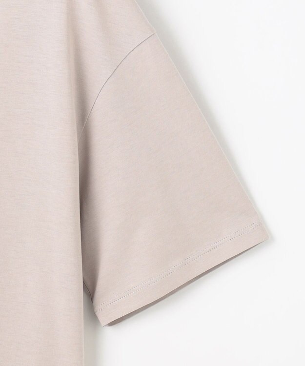 J.PRESS LADIES L 【WEB限定】シアーレイヤード ツイン カットソー 【WEB限定】グレージュ系