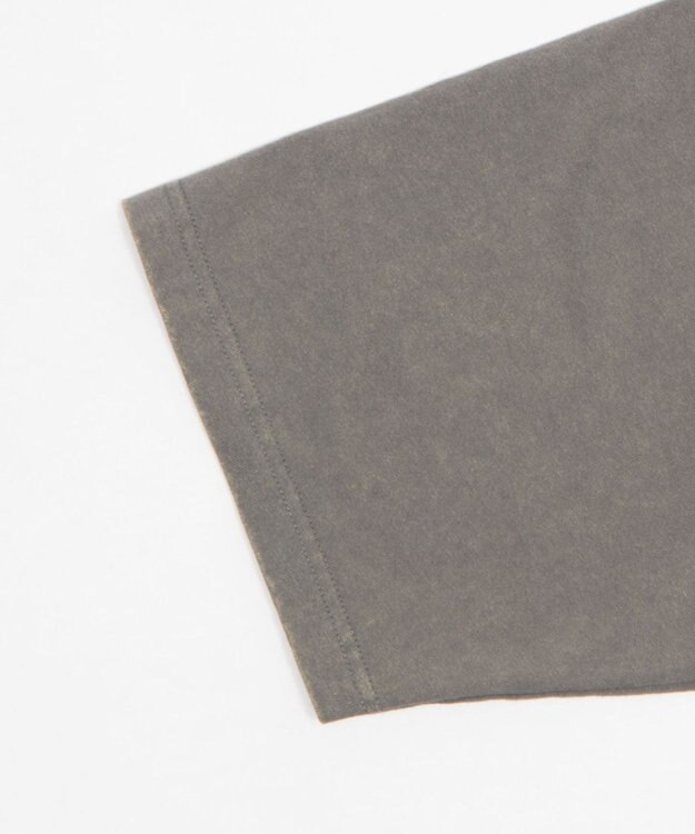 WEGO 【ユニセックス着用ITEM/MLサイズ展開】ブリーチダメージアップリケT（SS） グレー