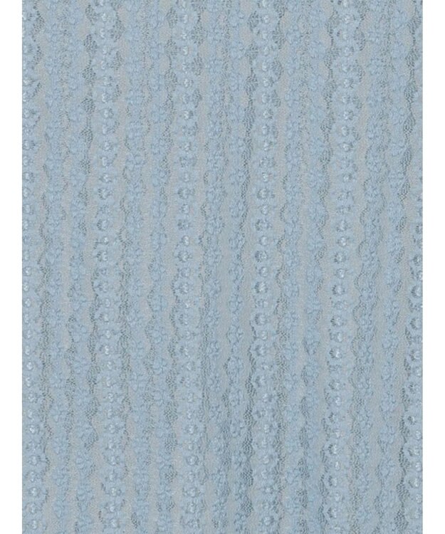 Te chichi ストレッチレーストップス《2026 spring catalog item》 サックスブルー