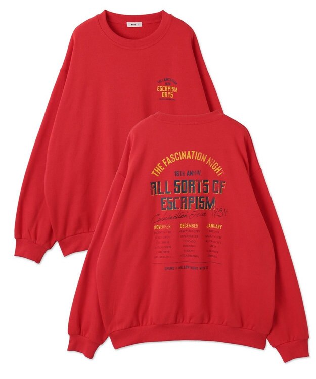 WEGO 【裏起毛/ユニセックス着用ITEM/SMLサイズ展開】アソートグラフィックプルオーバー（4） 柄54