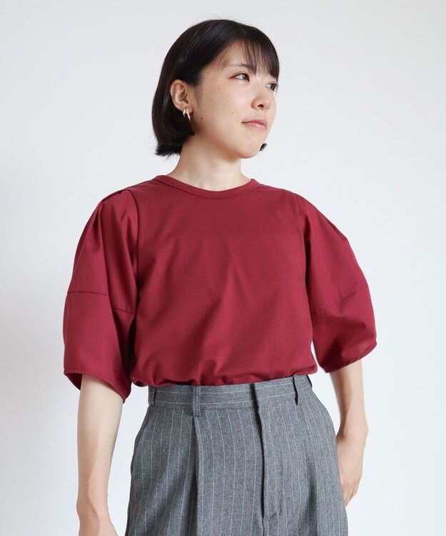 Green Parks ・ＥＬＥＮＣＡＲＥ　ＤＵＥ　バックＺＩＰハイブリットＴ Bordeaux