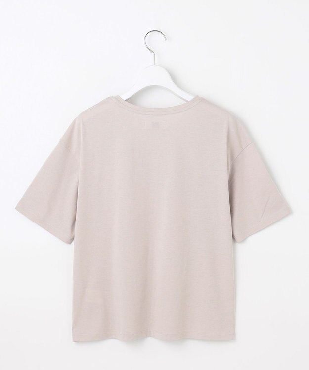 J.PRESS LADIES L 【WEB限定】シアーレイヤード ツイン カットソー 【WEB限定】グレージュ系