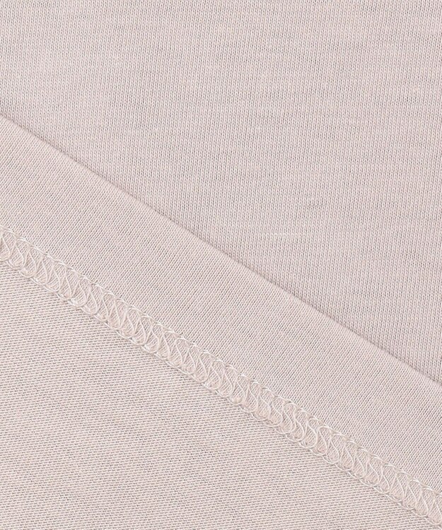 J.PRESS LADIES L 【WEB限定】シアーレイヤード ツイン カットソー 【WEB限定】グレージュ系