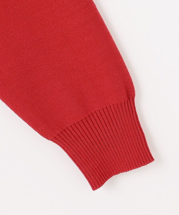 ANY L 【新色追加】ハイネックデイリーニット レッド