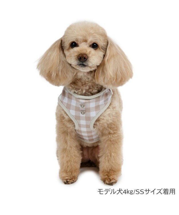 PET PARADISE ペットパラダイス くまちゃん リュック付き ハーネス Ｓ 小型犬 ベージュ
