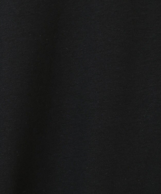 AMERICAN HOLIC ＡＭＩＴＥ’　箔プリントカットプルオーバー Black